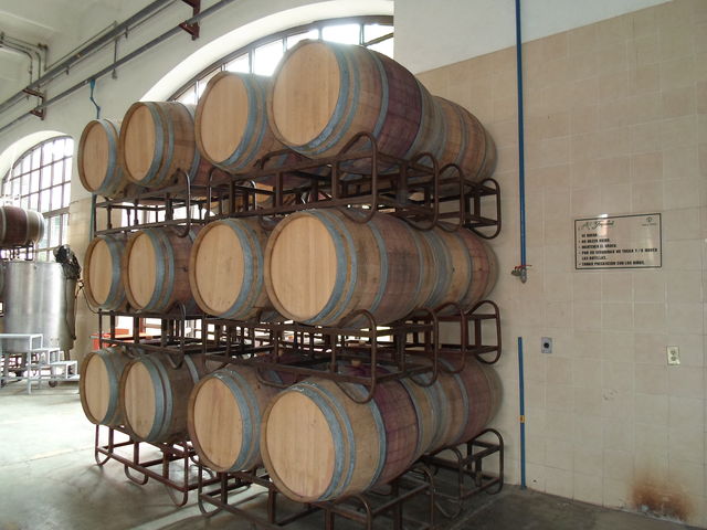 Cavas Freixenet