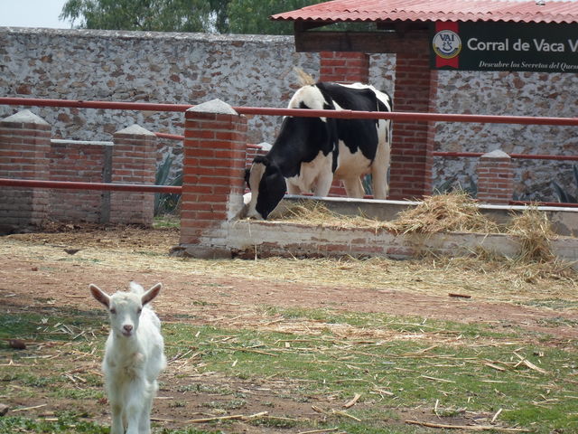 La Granja