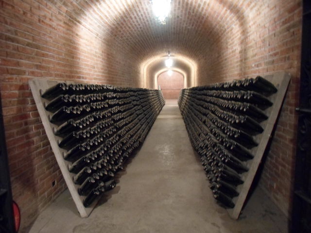 Cavas Freixenet